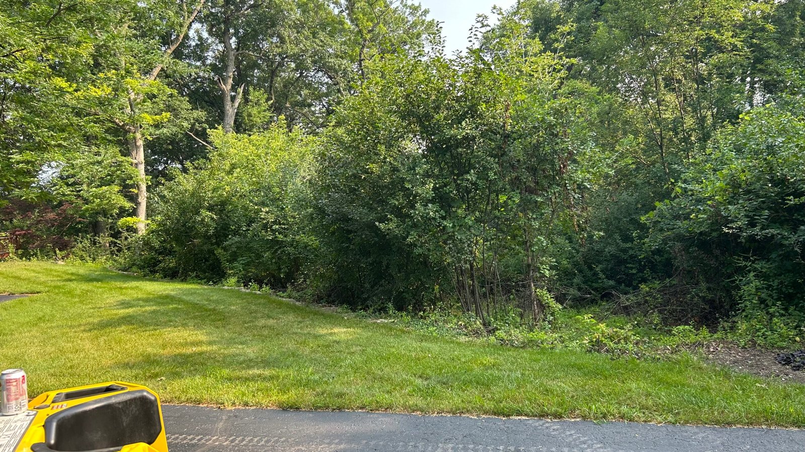 Brush and overgrowth removal Waukesha County