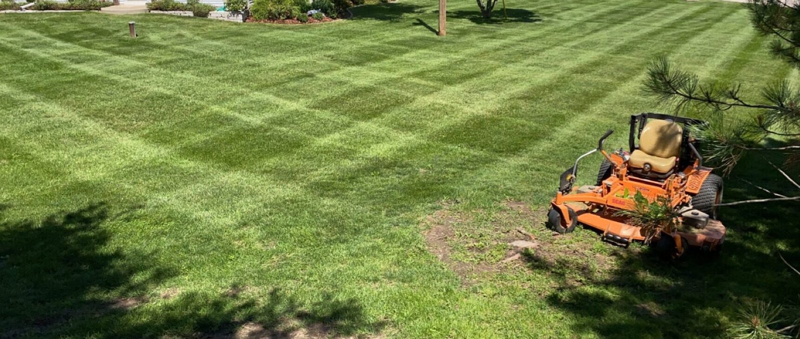 IMG 0754 Rotated E1770936155275