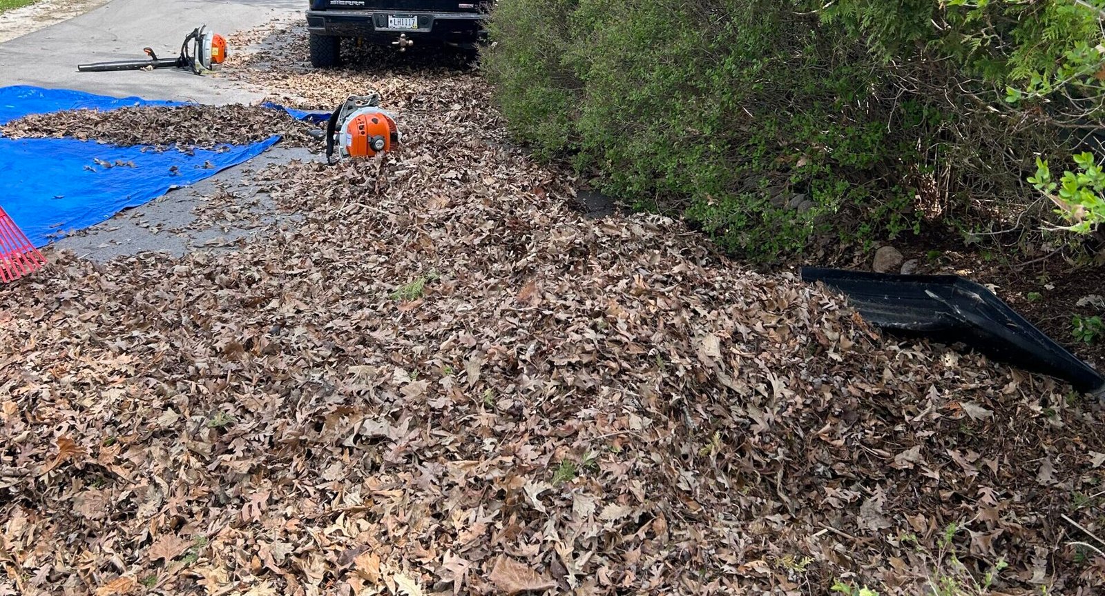 Leaf Removal in Waukesha county