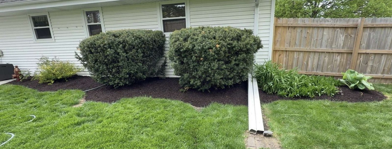 IMG 4215 E1770936206805