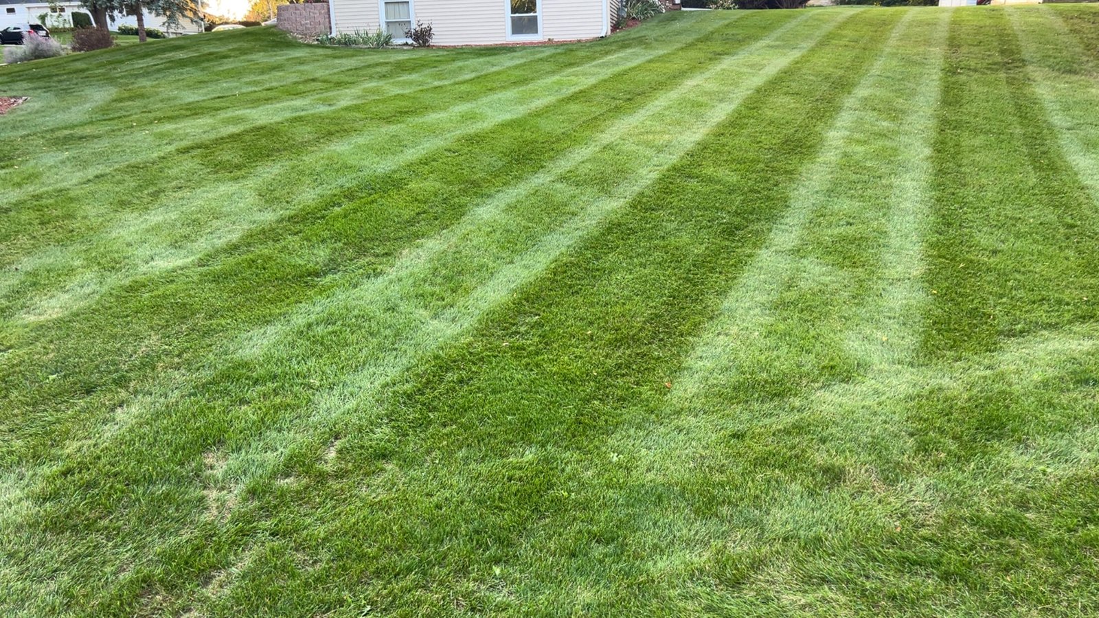 IMG 5315 E1770935921588