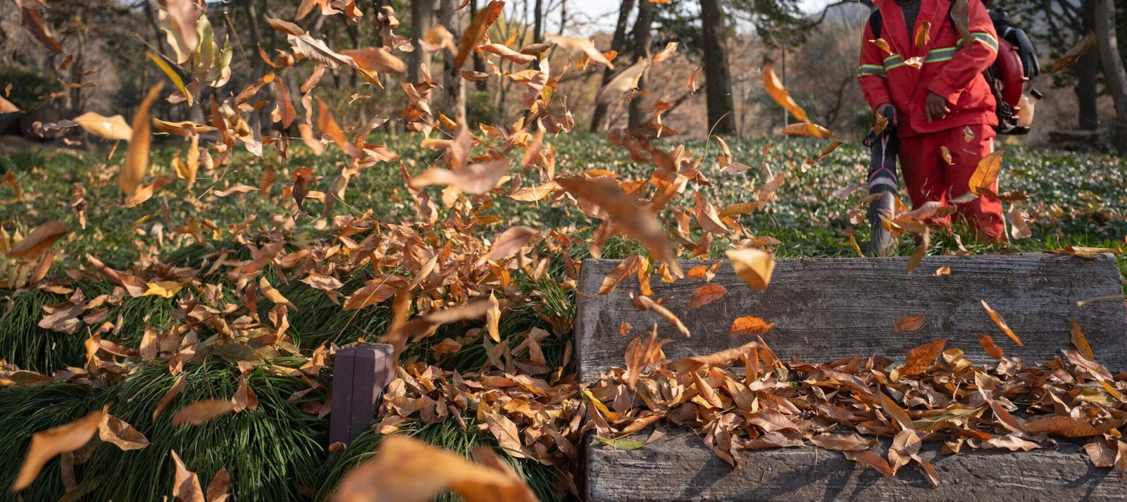 Spring Clean up in Waukesha county