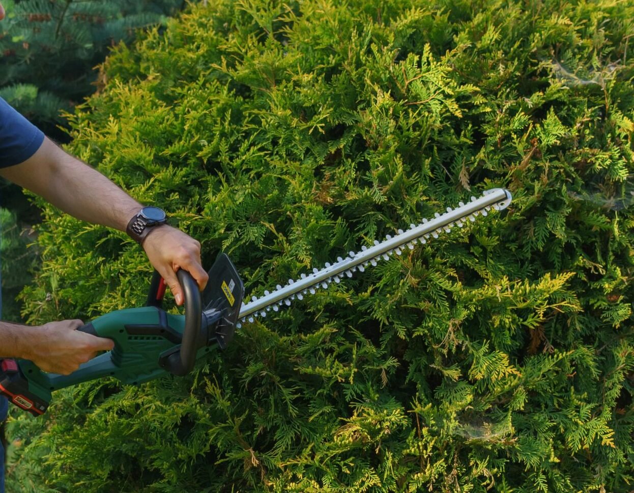 Man using an electric hedge trimmer to shape a garden shrub. Ideal for gardening themes.