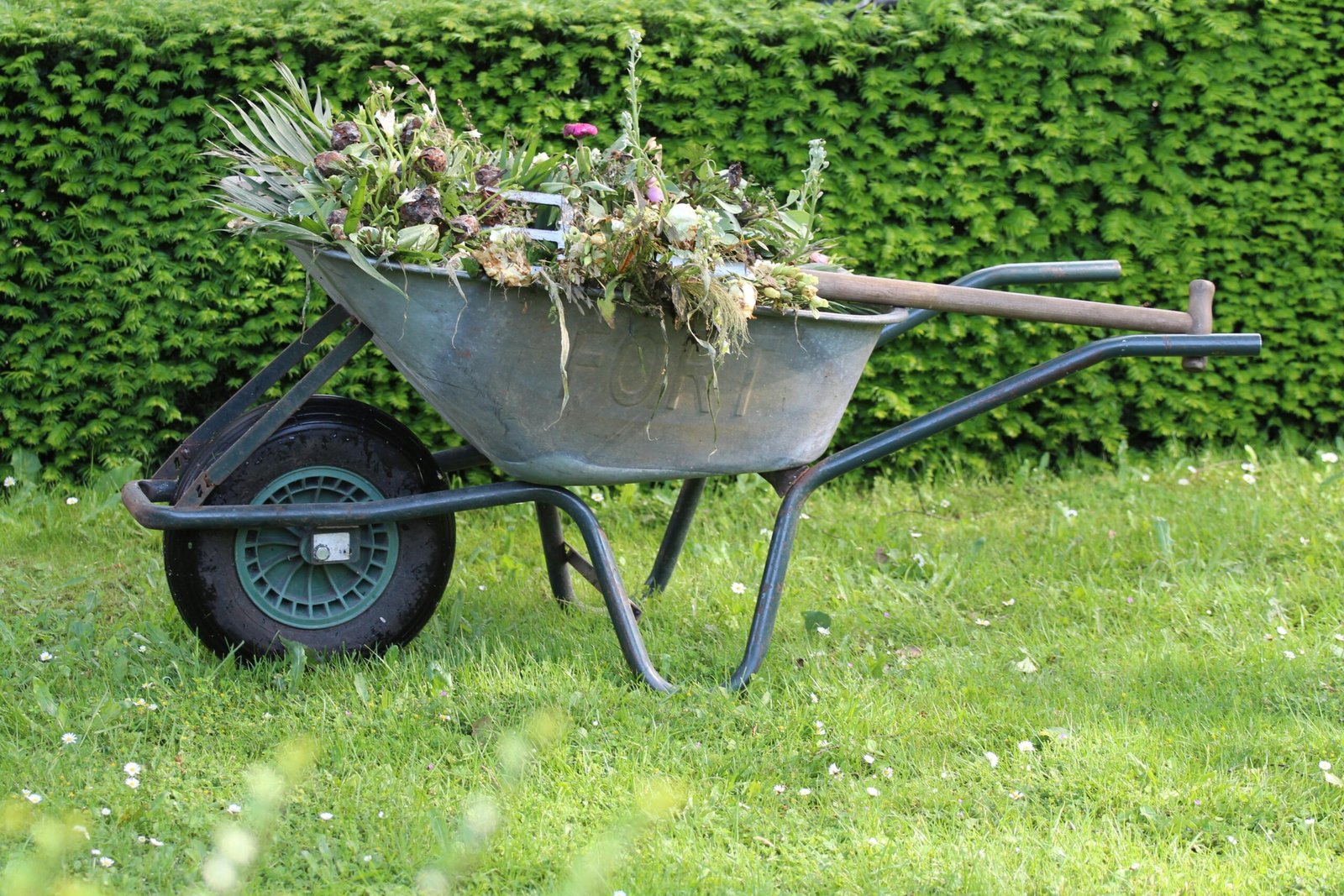 Weeding and bed maintenance in Waukesha County